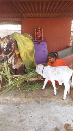 WhatsApp Image 2023-01-25 at 17.09.59 (1).jpeg