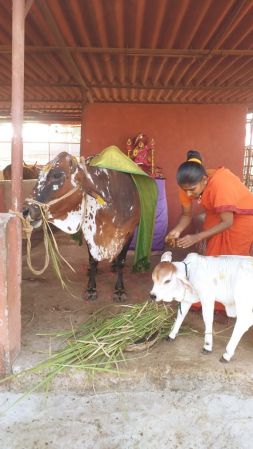 WhatsApp Image 2023-01-25 at 17.09.59 (2).jpeg